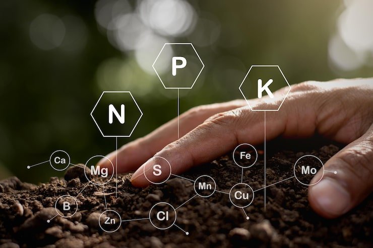 close up man holding hands 1048944 26896849