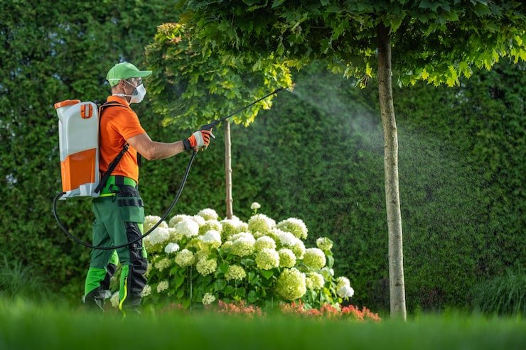 insecticide fungicide garden trees performed by caucasian garden keeper 1426 24108